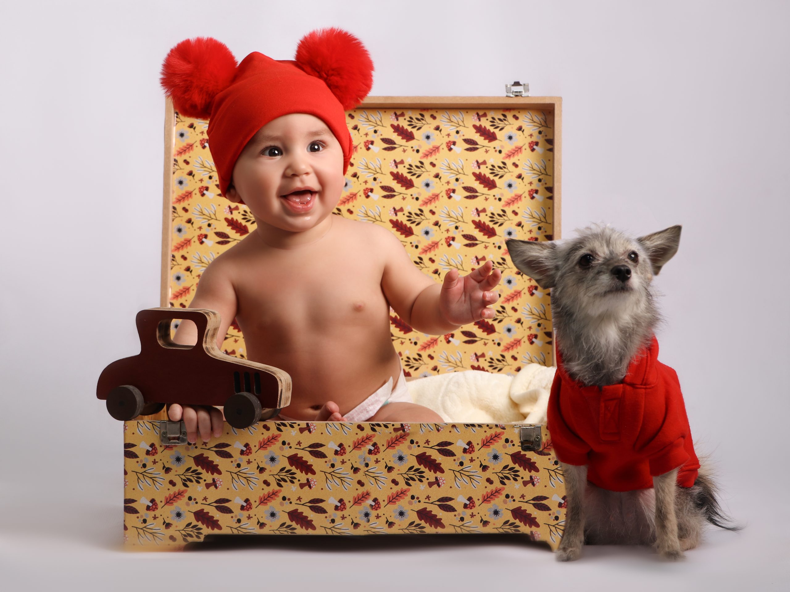 عکاسی کودک با حیوانات خانگی | عکاسی کودک با سگ و گربه | ایده های عکاسی کودک | ژست عکاسی کودک و حیوان خانگی | بهترین آتلیه کودک تهران