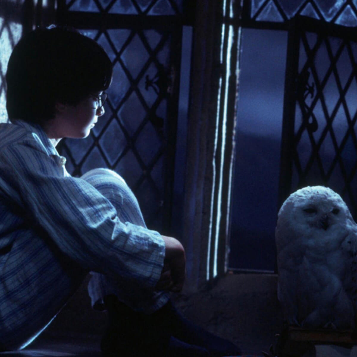 Hedwig2 اکسسوری جغد سفید هری پاتر (هدویگ) برای دکور عکس کودک لباس دکور هری پاتر در آتلیه تیرشات