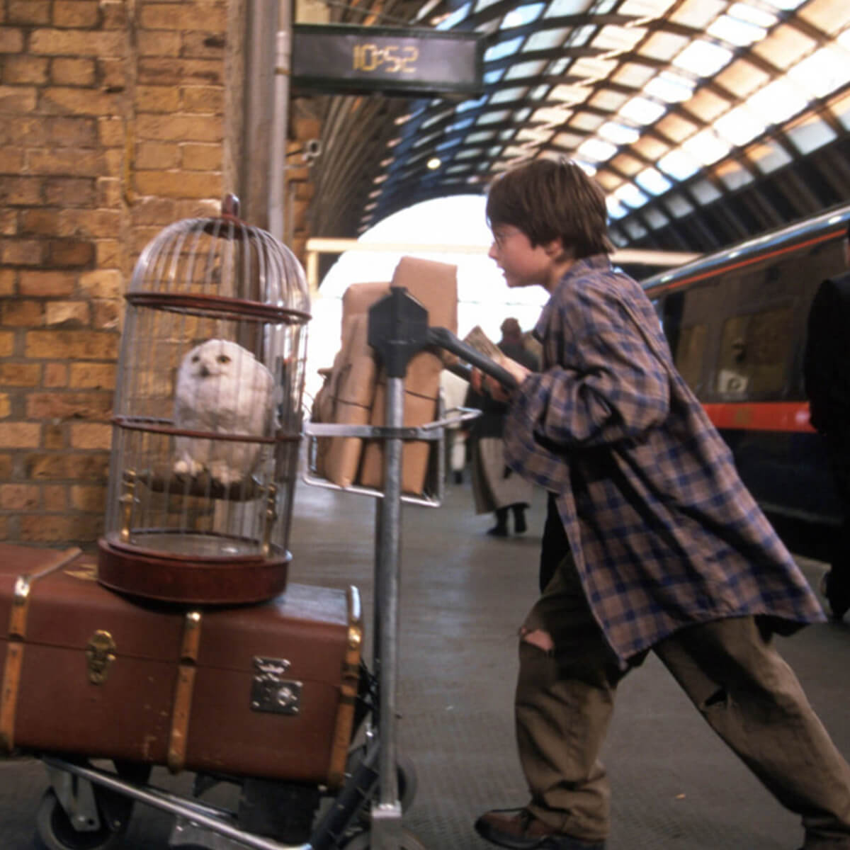 Hedwig3 اکسسوری جغد سفید هری پاتر (هدویگ) برای دکور عکس کودک لباس دکور هری پاتر در آتلیه تیرشات