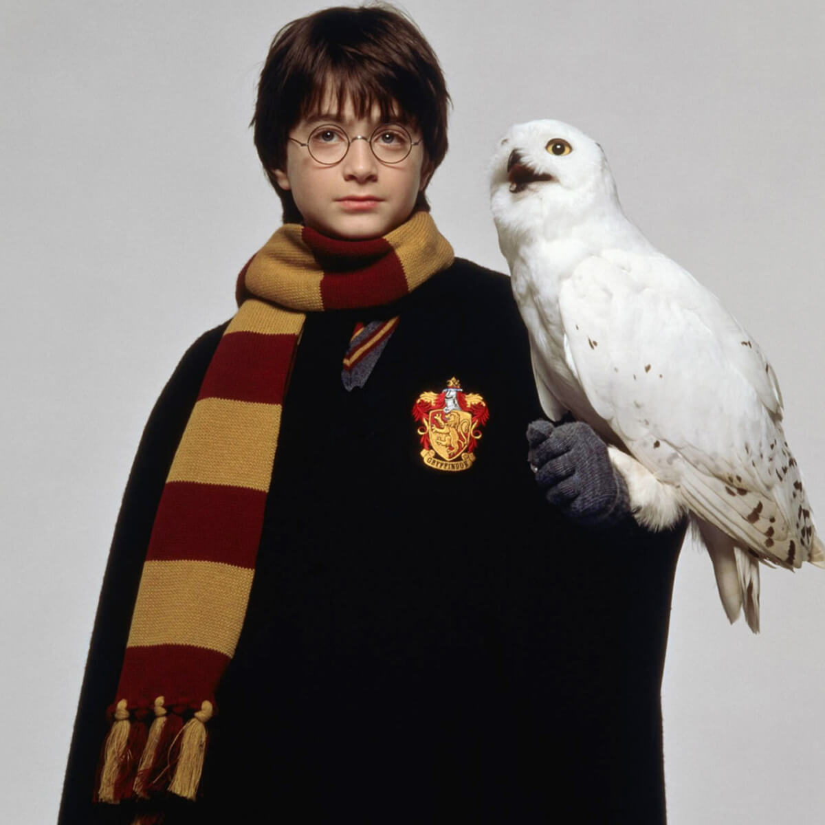 Hedwig4 اکسسوری جغد سفید هری پاتر (هدویگ) برای دکور عکس کودک لباس دکور هری پاتر در آتلیه تیرشات