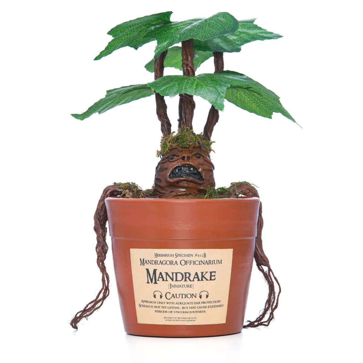 مهرگیاه 3 اکسسوری مندریک هری پاتر برای دکور آتلیه کودک – گیاه ماندراگورا مخصوص تم هری پاتر لباس دکور هری پاتر در آتلیه تیرشات