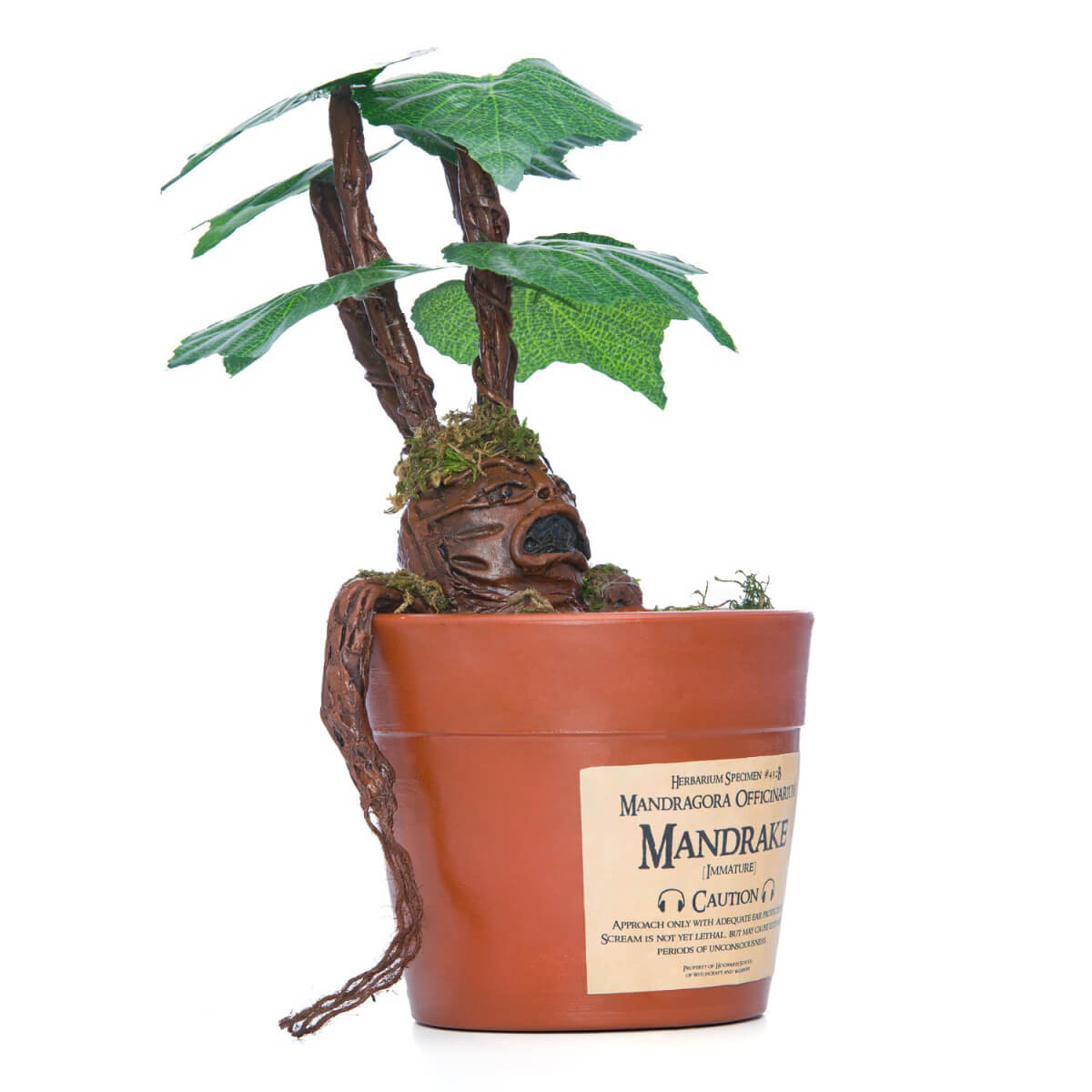 مهرگیاه 4 اکسسوری مندریک هری پاتر برای دکور آتلیه کودک – گیاه ماندراگورا مخصوص تم هری پاتر لباس دکور هری پاتر در آتلیه تیرشات